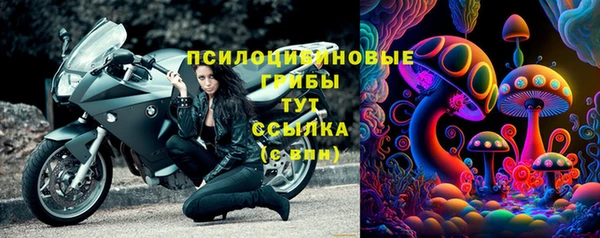 спайс Алзамай