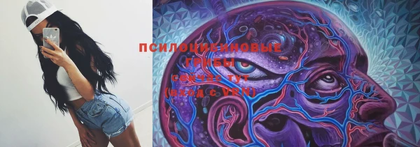 молекула духа Алексин
